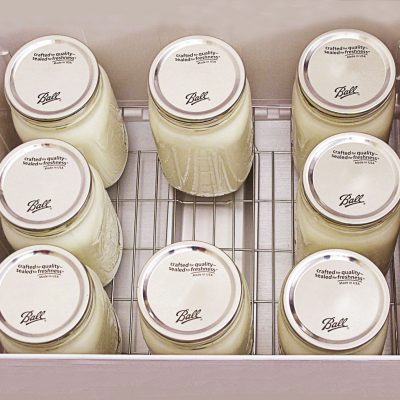 La science de l'excellence de yogourt