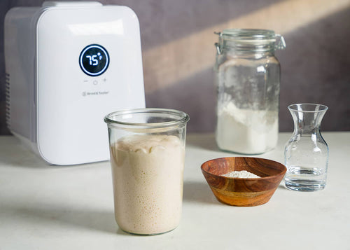 Créer un levain à partir de zéro